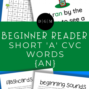 Learn to read, short A, CVC words, early learning, -AN ending