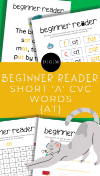 Learn to read, CVC words, at ending,
